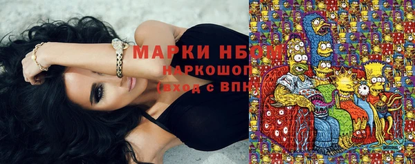 стаф Нижний Тагил