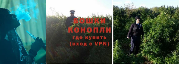 стаф Нижний Тагил