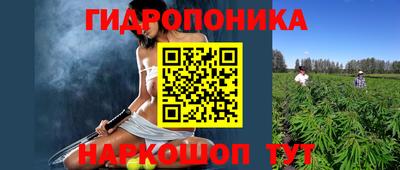 шишки Апрелевка