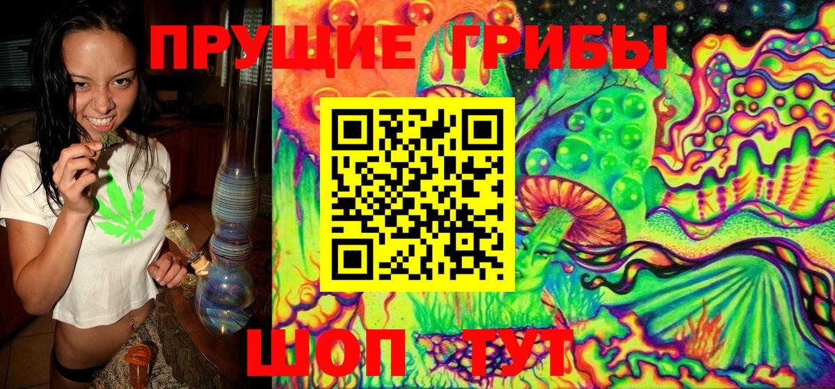 Галлюциногенные грибы Cubensis Бердск