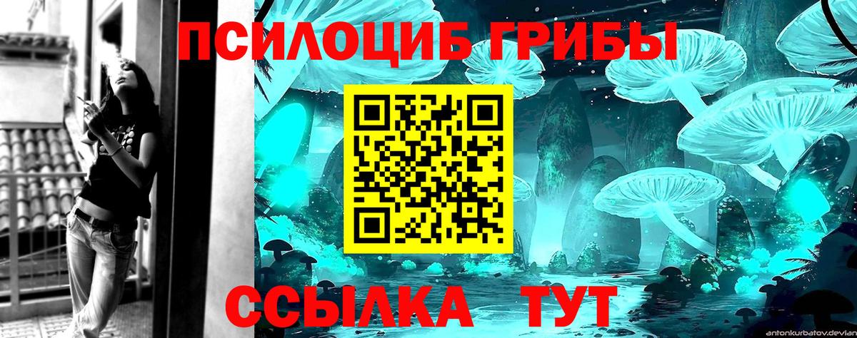 Галлюциногенные грибы Psilocybine cubensis  Вход с VPN  Бердск 